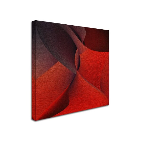 Gilbert Claes 'Yioto' Canvas Art,35x35